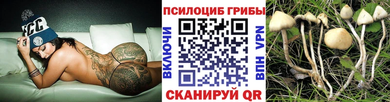 Галлюциногенные грибы Cubensis  продажа наркотиков  Керчь 