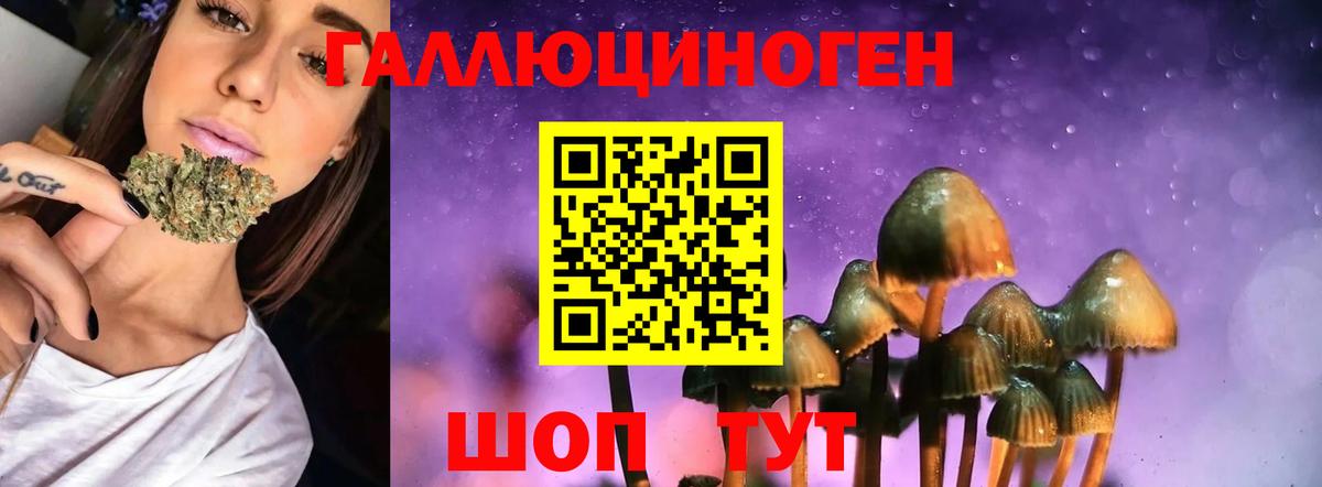 Галлюциногенные грибы мицелий Керчь