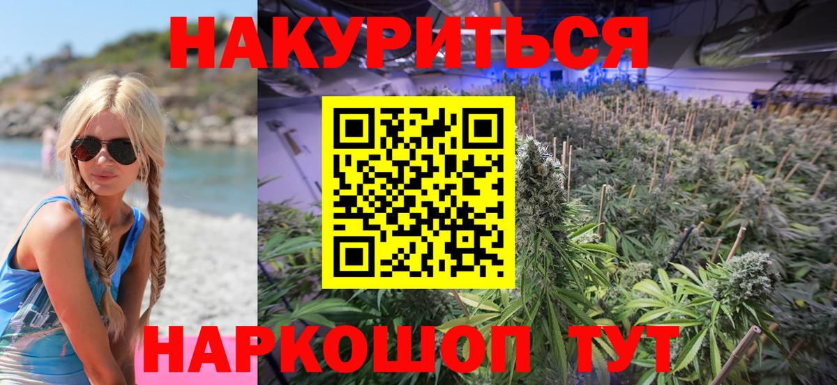 Конопля сатива Керчь